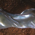"Olive Tree" & "Swim" on: Waterbodies