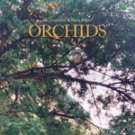 Orchids